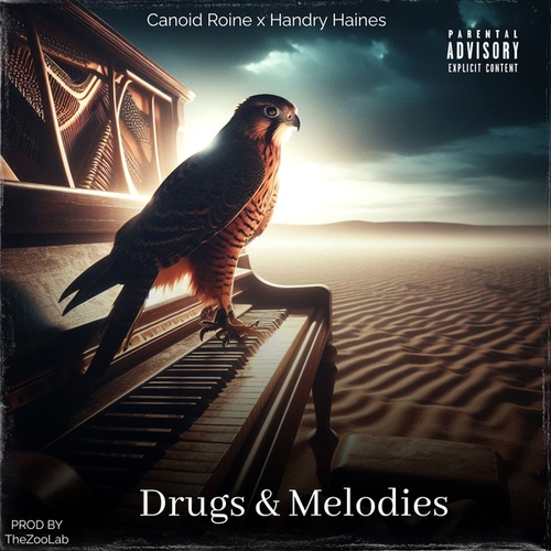 Drugs & Melodies