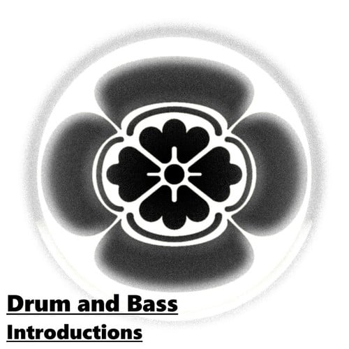 Various Artists-Drum and Bass Introductions