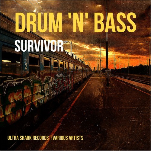 Various Artists-Drum and Bass Survivor, Vol. 1