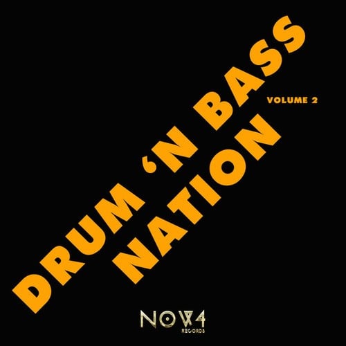 Various Artists-Drum 'N Bass Nation, Vol. 2