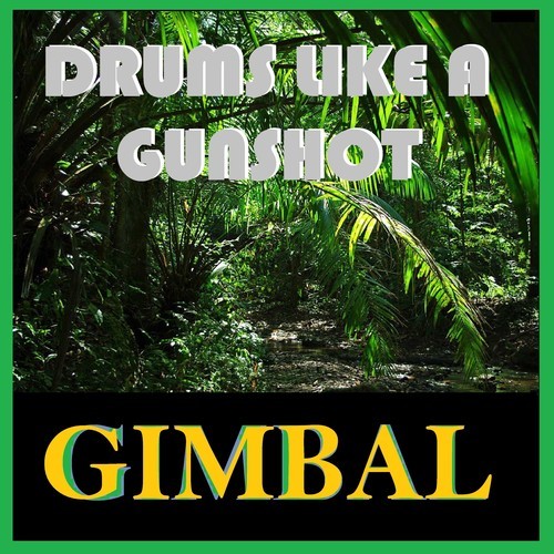 Gimbal-Drums Like a Gunshot