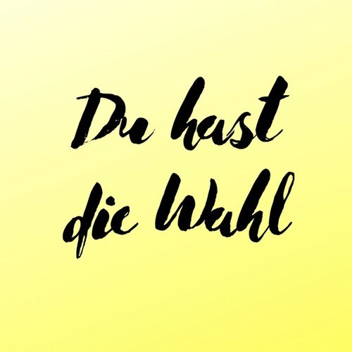 Du hast die Wahl (Pastiche/Remix/Mashup)