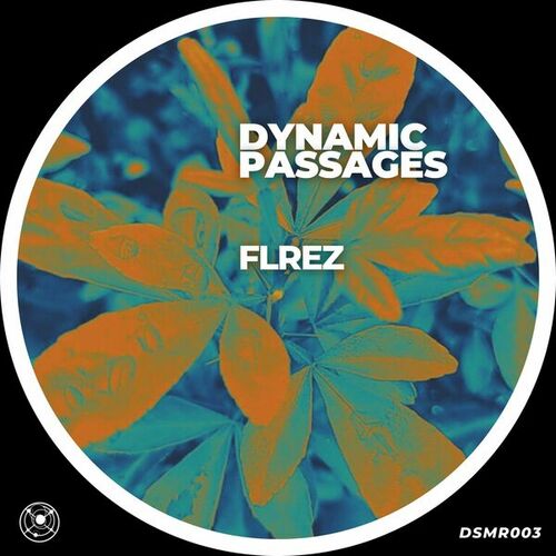 FLREZ-Dynamic Passages