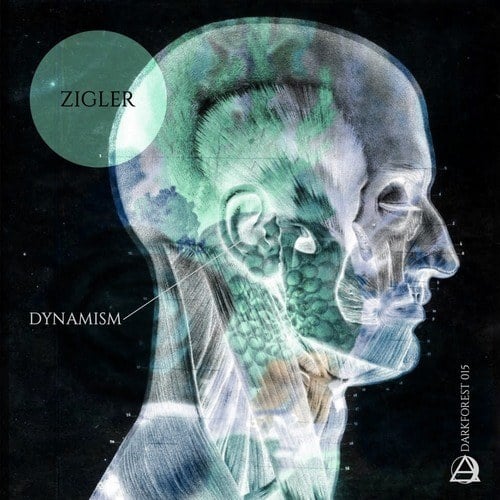 Zigler-Dynamism