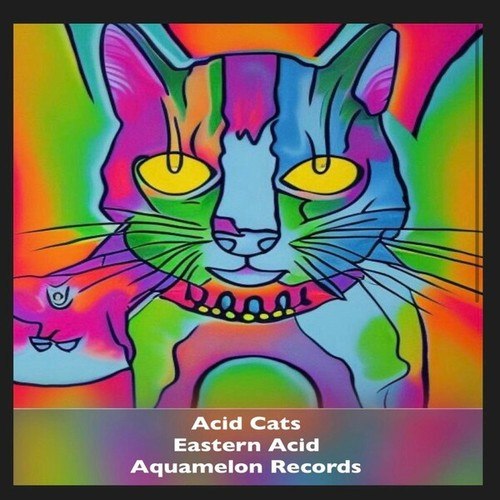 Acid Cats-Eastern Acid