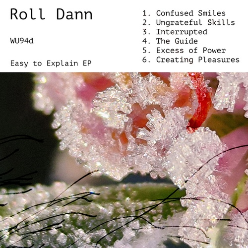Roll Dann-Easy To Explain EP