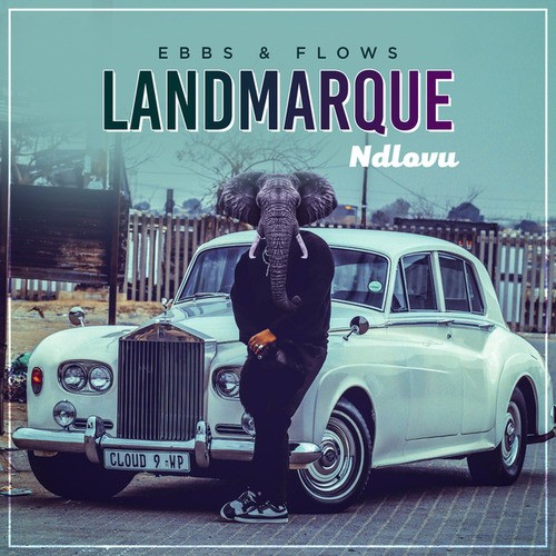 LANDMARQUE-EBBS & FLOWS: Ndlovu