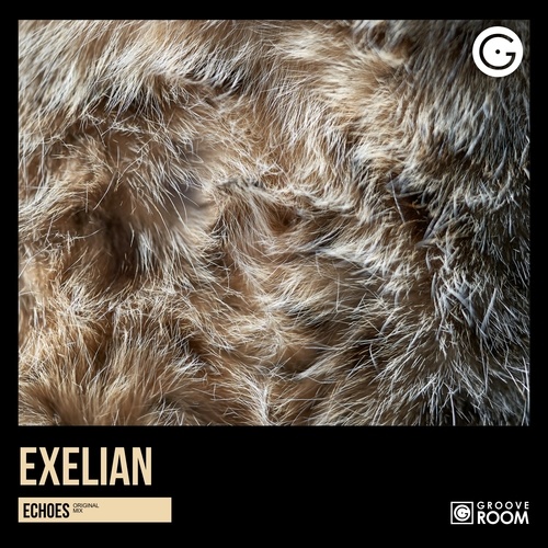 Exelian-Echoes