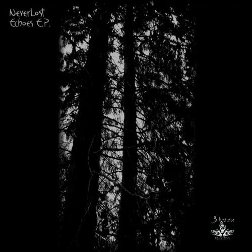 Never Lost, Dismal-Echoes