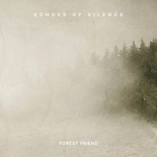 Echoes of Silence