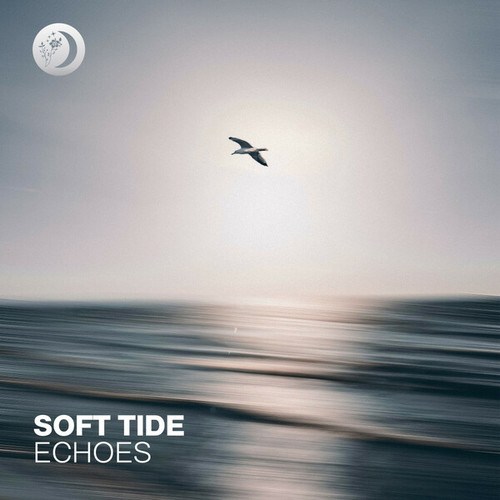 Soft Tide-Echoes