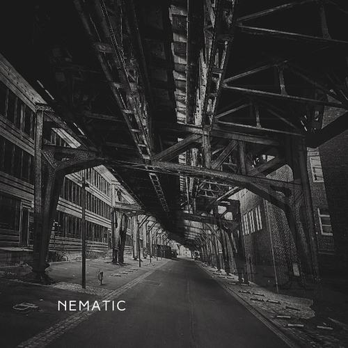 Nematic-Ecological Collapse