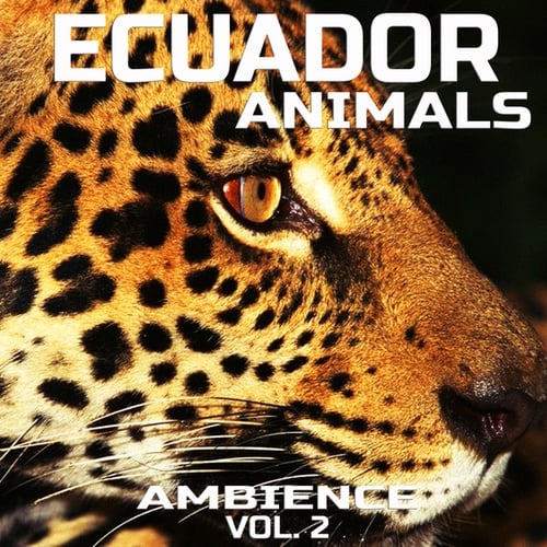 Ecuador Animals Ambience, Vol. 2