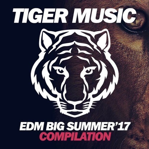 Various Artists-EDM Big Summer '17