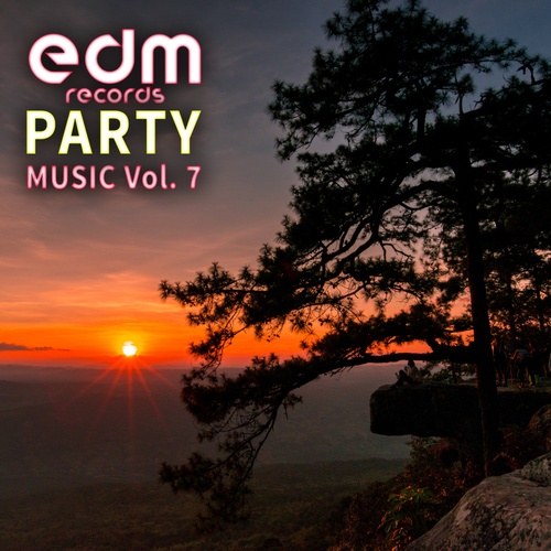 Edm Records Party Music, Vol. 7