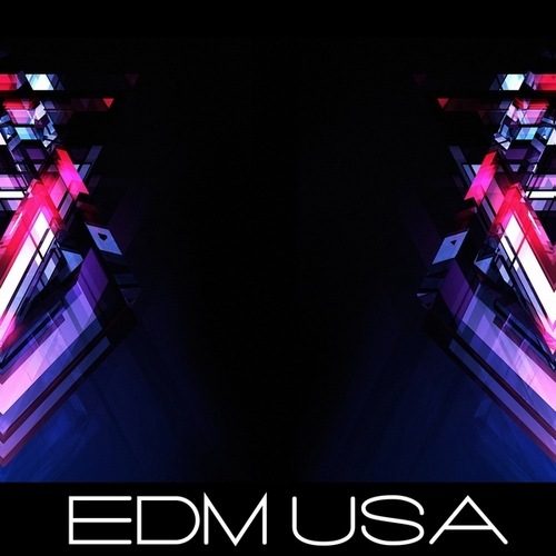 Various Artists-Edm USA