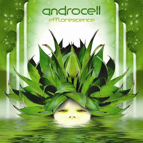 Androcell, AES Dana-Efflorescence