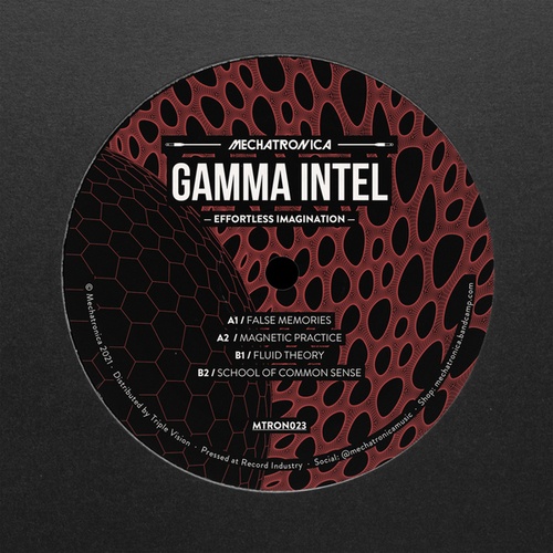 Gamma Intel-Effortless Imagination