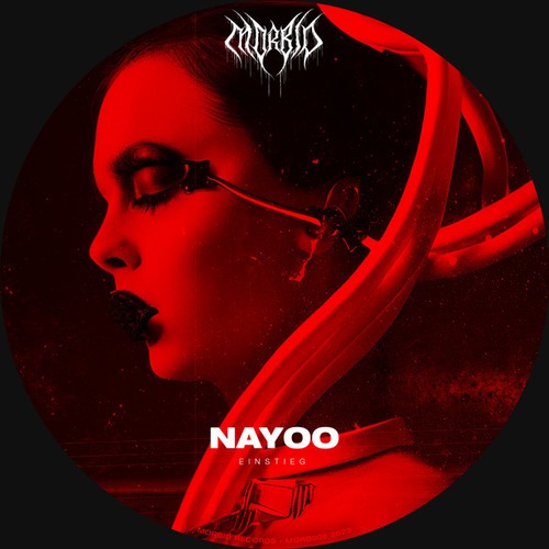 NAYOO-Einstieg