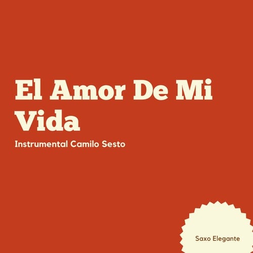 El Amor De Mi Vida Instrumental Camilo Sesto