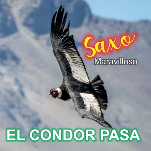 El Condor Pasa