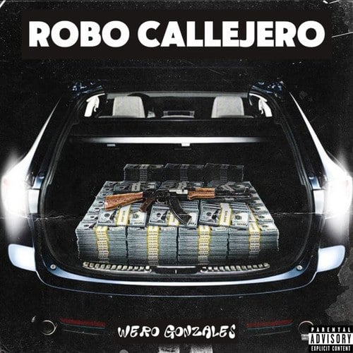 EL ROBO CALLEJERO