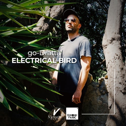Go-Dratta-Electrical Bird