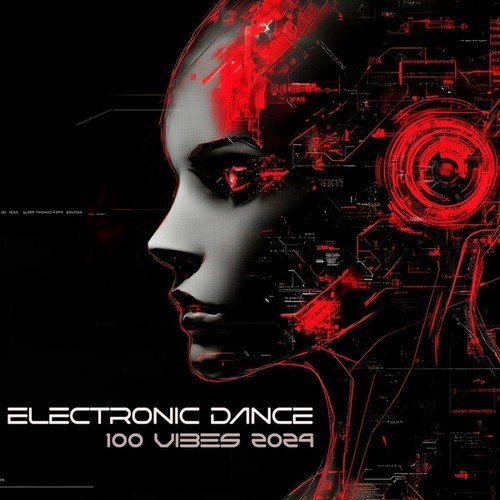 Electronic Dance 100 Vibes 2024