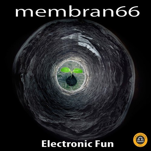 Membran 66-Electronic-Fun