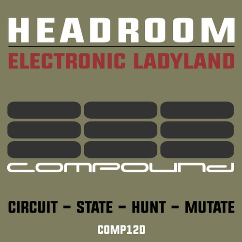 Headroom-Electronic Ladyland