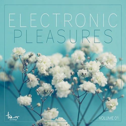 Various Artists-Electronic Pleasures, Vol. 1