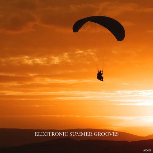 Various Artists-Electronic Summer Grooves