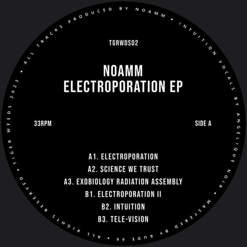 Electroporation EP