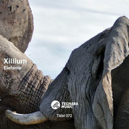 Xillium-Elefante