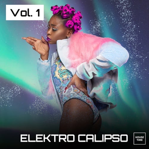 Various Artists-Elektro Calipso, Vol. 1