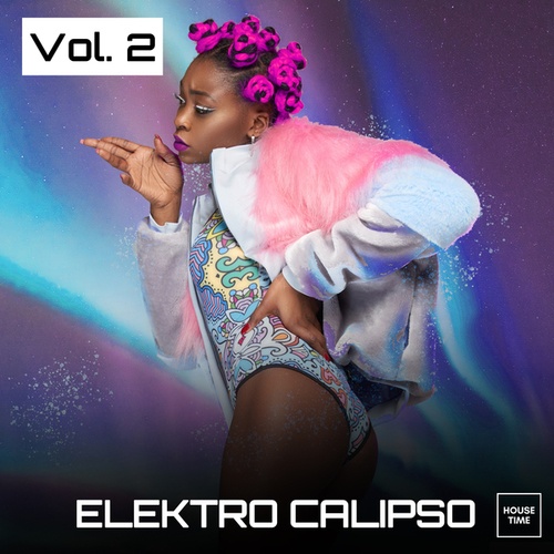Various Artists-Elektro Calipso, Vol. 2