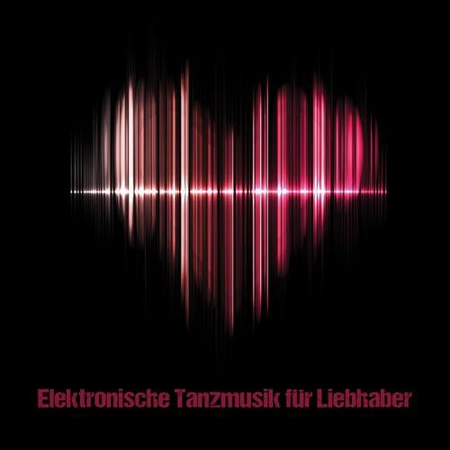 Various Artists-Elektronische Tanzmusik für Liebhaber