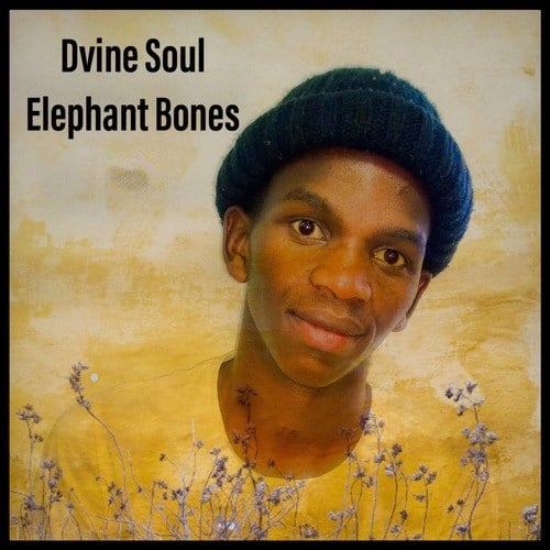 Dvine Soul-Elephant Bones