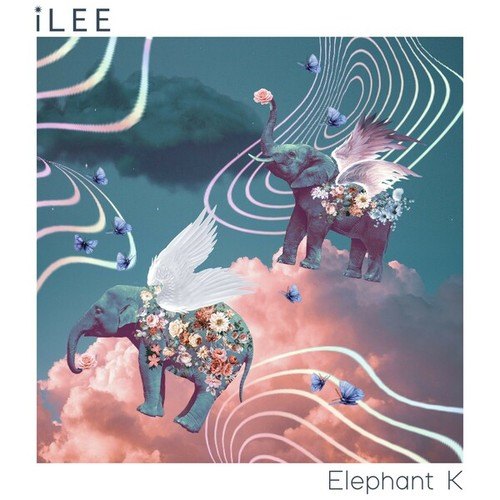 ILee-Elephant K