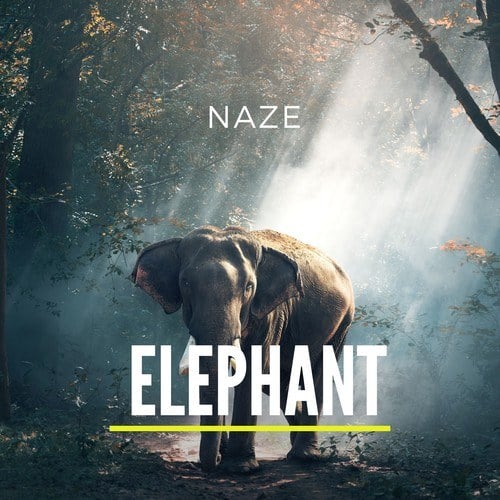 Naze-Elephant