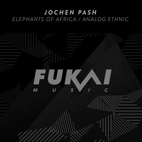 Jochen Pash-Elephants of Africa / Analog Ethnic