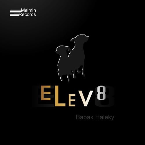 Babak Haleky-Elev8