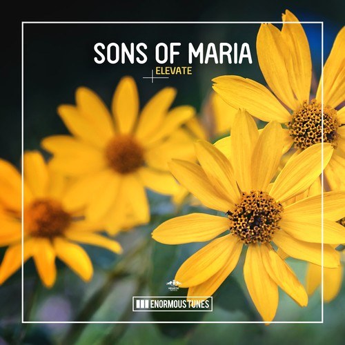 Sons Of Maria-Elevate