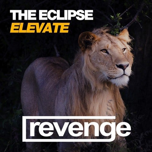 The Eclipse-Elevate