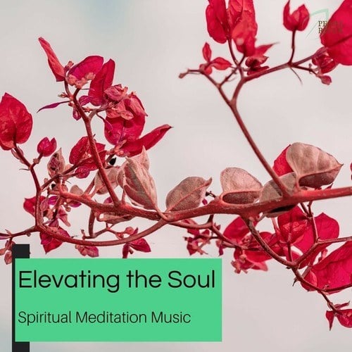 Elevating the Soul - Spiritual Meditation Music