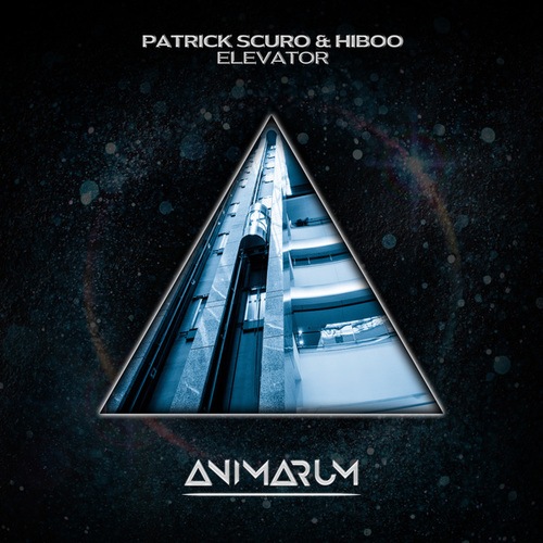Patrick Scuro, HiBoo-Elevator