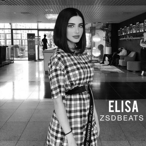 ZSDBEATS-Elisa