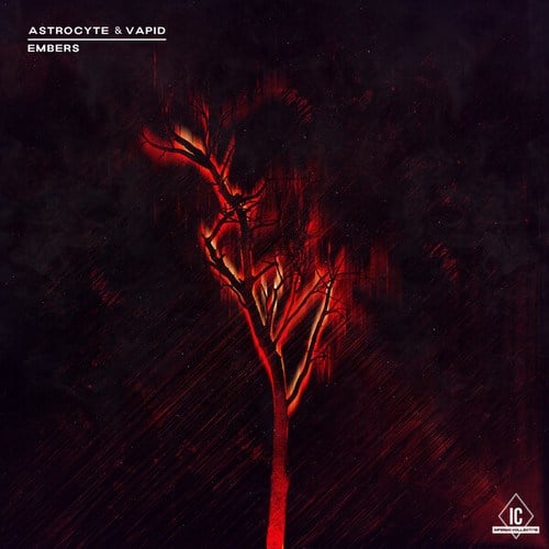 Astrocyte, Vapid-Embers