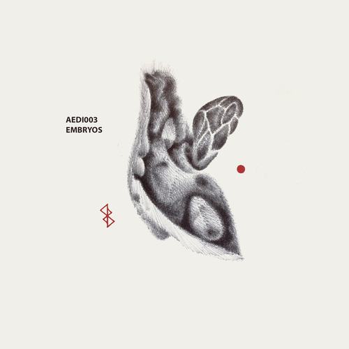 Various Artists-Embryos