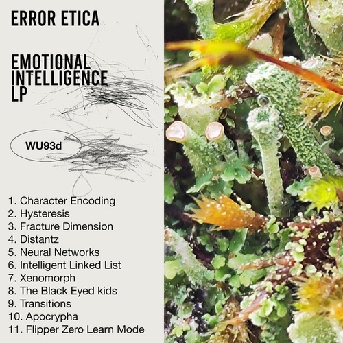Error Etica-Emotional Intelligence LP